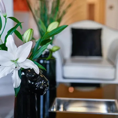 Luxury Premium Apartment With Gym & Spa Downtown Free Airport Shuttle Budapest