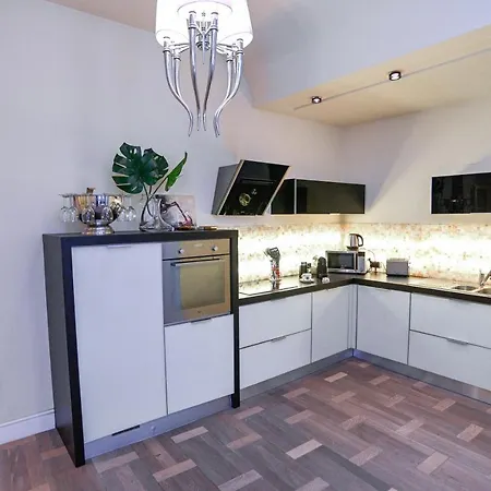 Luxury Premium Apartment With Gym & Spa Downtown Free Airport Shuttle 부다페스트