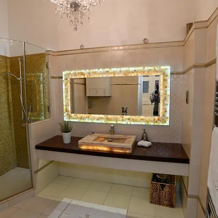 Luxury Premium Apartment With Gym & Spa Downtown Free Airport Shuttle